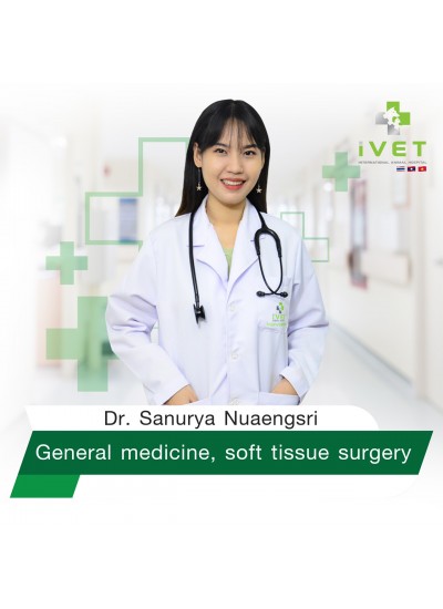 Dr Sanurya Nuaengsri
